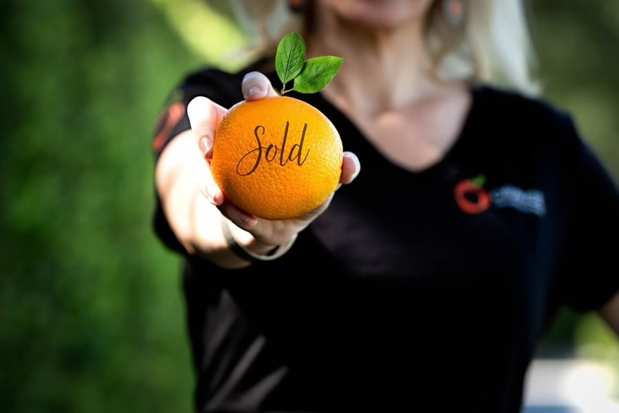 Why Orange Realty